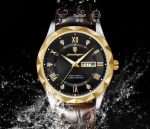 Swiss Brand Waterproof watch